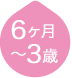 6ヶ月～3歳