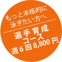 もっと本格的に泳ぎたい方へ 選手育成コース週6回 9,240円